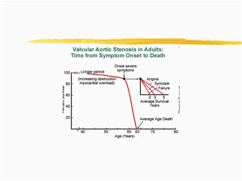 preserved lv systolic function 日本語|what does lv702 mean.